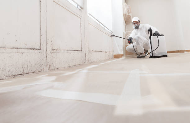 24/7 Emergency Mold Removal experts in Lafayette, TN