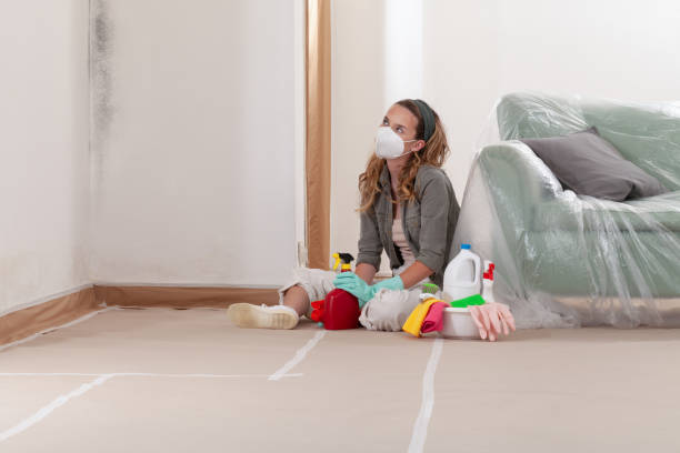 Reliable Mold Removal contractor in Lafayette, TN by WQB Mold Removal